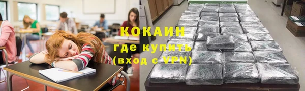 mix Богородицк