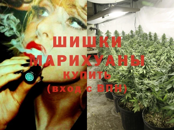 mix Богородицк