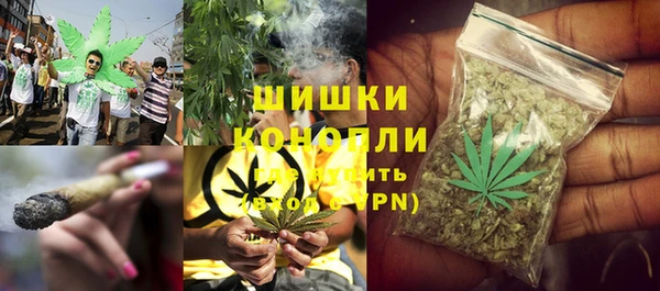 молекула духа Богородск