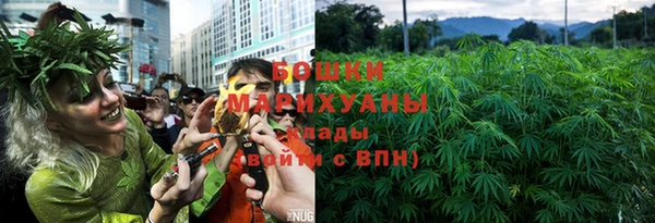 mix Богородицк