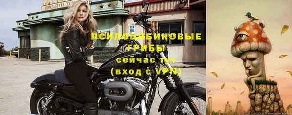 mix Богородицк