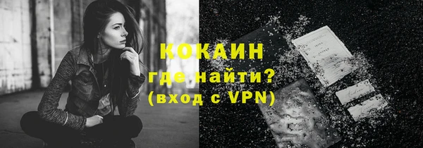 молекула духа Богородск