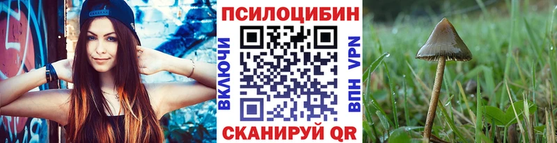 Псилоцибиновые грибы Cubensis Обоянь
